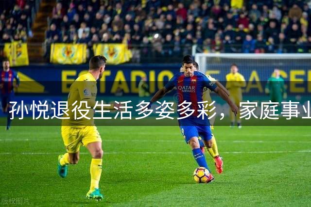 孙悦退役生活多姿多彩，家庭事业双丰收